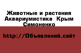 Животные и растения Аквариумистика. Крым,Симоненко